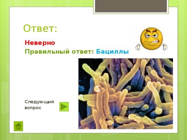 Ответ: Неверно Правильный ответ: Бациллы      Следующий вопрос 