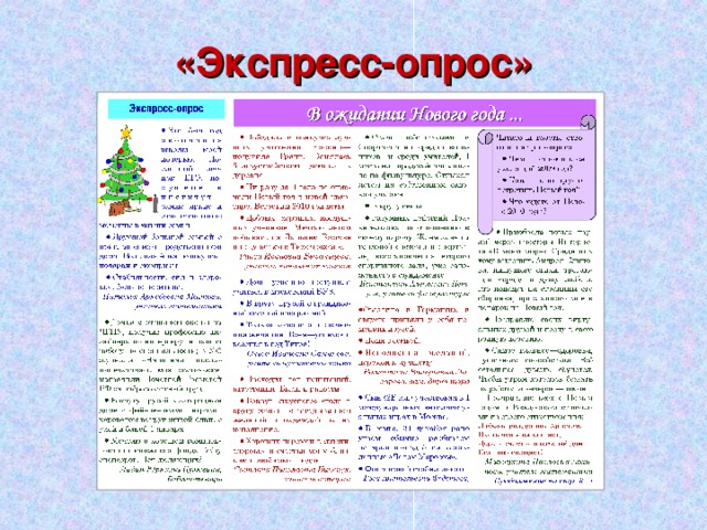 «Экспресс-опрос» 