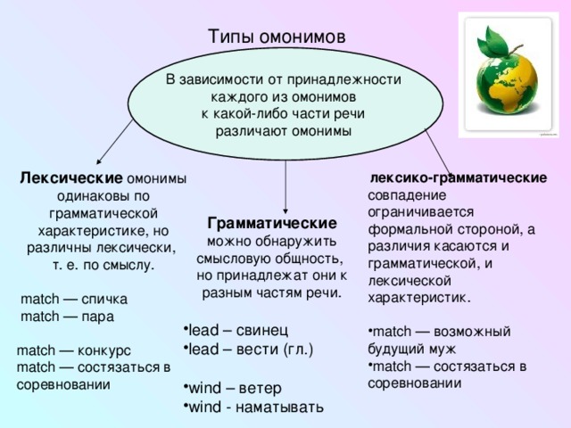 Типы омонимов Лексические омонимы одинаковы по грамматической характеристике, но различны лексически, т. е. по смыслу.  match — спичка  match — пара match — конкурс match — состязаться в соревновании лексико-грамматические  совпадение ограничивается формальной стороной, а различия касаются и грамматической, и лексической характеристик. match — возможный будущий муж match — состязаться в соревновании Грамматические можно обнаружить смысловую общность, но принадлежат они к разным частям речи. lead – свинец lead – вести (гл.)  wind – ветер wind - наматывать 