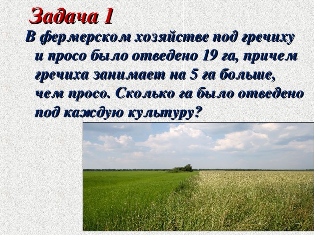 Сколько гектаров составляет площадь фермерского хозяйства