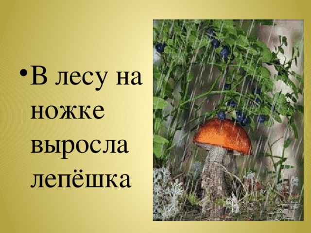 В лесу на ножке выросла лепёшка 