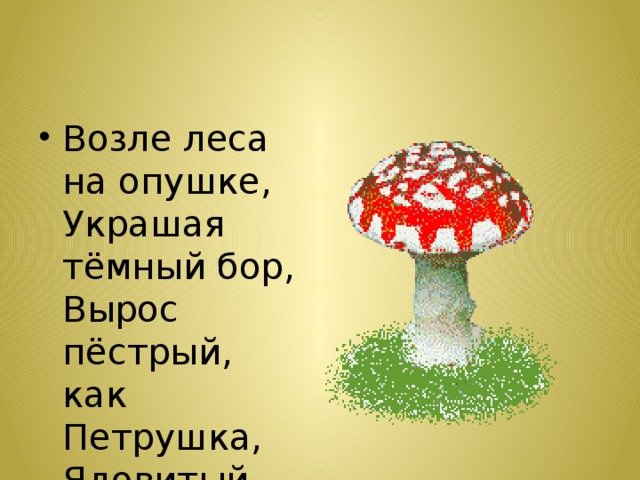 Возле леса на опушке,  Украшая тёмный бор,  Вырос пёстрый, как Петрушка,  Ядовитый ...   