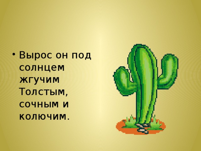 Вырос он под солнцем жгучим  Толстым, сочным и колючим.   