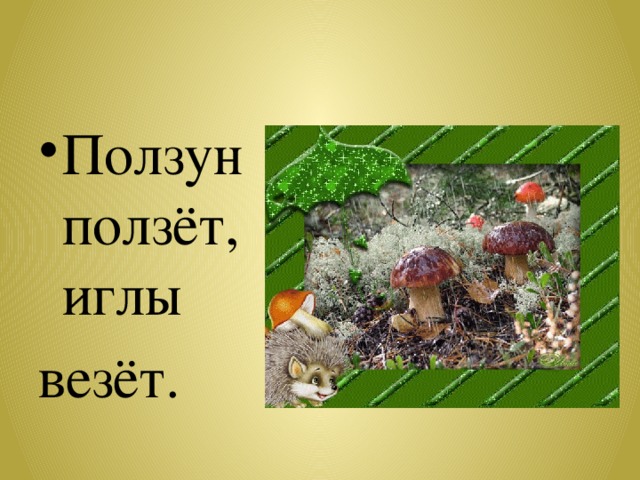 Ползун ползёт, иглы везёт. 