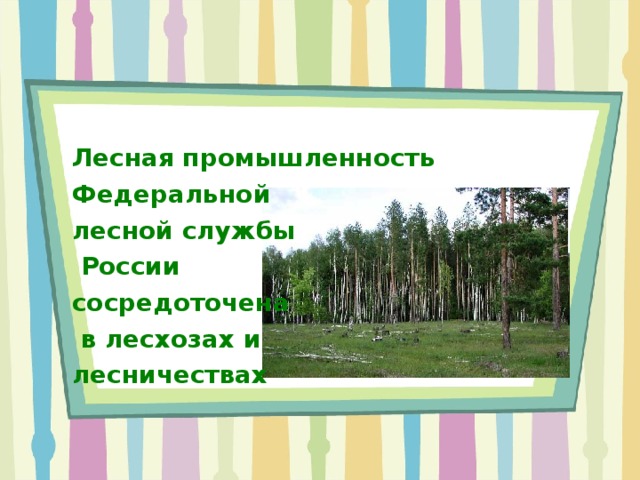 Чем занимаются лесничества 6 класс. Смотреть фото Чем занимаются лесничества 6 класс. Смотреть картинку Чем занимаются лесничества 6 класс. Картинка про Чем занимаются лесничества 6 класс. Фото Чем занимаются лесничества 6 класс