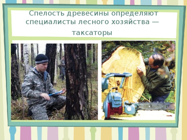 Чем занимаются лесничества 6 класс. Смотреть фото Чем занимаются лесничества 6 класс. Смотреть картинку Чем занимаются лесничества 6 класс. Картинка про Чем занимаются лесничества 6 класс. Фото Чем занимаются лесничества 6 класс