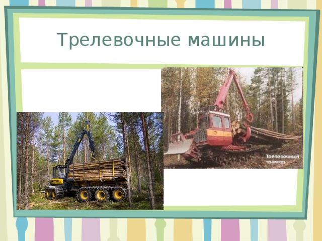 Чем занимаются лесничества 6 класс. Смотреть фото Чем занимаются лесничества 6 класс. Смотреть картинку Чем занимаются лесничества 6 класс. Картинка про Чем занимаются лесничества 6 класс. Фото Чем занимаются лесничества 6 класс