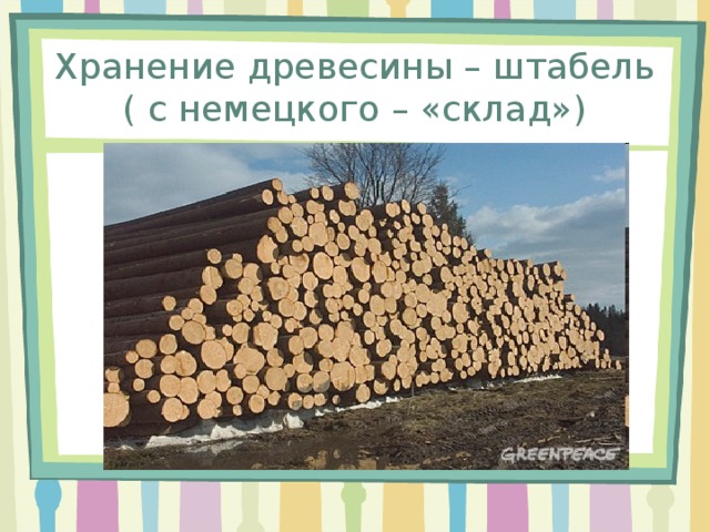 Чем занимаются лесничества 6 класс. Смотреть фото Чем занимаются лесничества 6 класс. Смотреть картинку Чем занимаются лесничества 6 класс. Картинка про Чем занимаются лесничества 6 класс. Фото Чем занимаются лесничества 6 класс