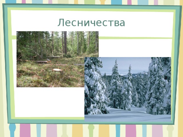 Чем занимаются лесничества 6 класс. Смотреть фото Чем занимаются лесничества 6 класс. Смотреть картинку Чем занимаются лесничества 6 класс. Картинка про Чем занимаются лесничества 6 класс. Фото Чем занимаются лесничества 6 класс