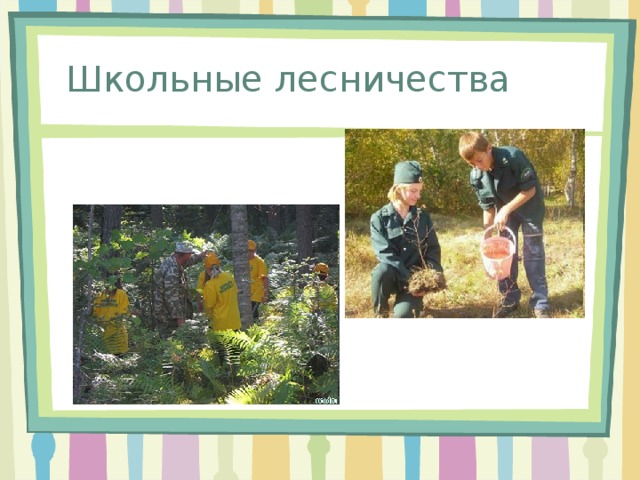 Чем занимаются лесничества 6 класс. Смотреть фото Чем занимаются лесничества 6 класс. Смотреть картинку Чем занимаются лесничества 6 класс. Картинка про Чем занимаются лесничества 6 класс. Фото Чем занимаются лесничества 6 класс