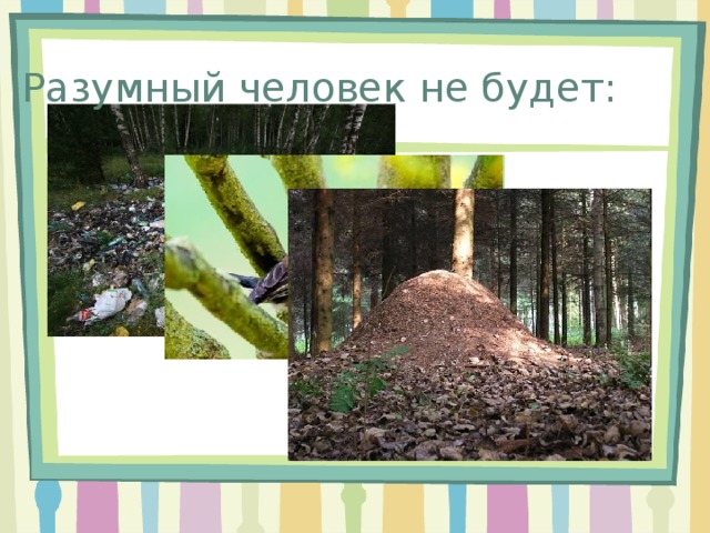 Чем занимаются лесничества 6 класс. Смотреть фото Чем занимаются лесничества 6 класс. Смотреть картинку Чем занимаются лесничества 6 класс. Картинка про Чем занимаются лесничества 6 класс. Фото Чем занимаются лесничества 6 класс