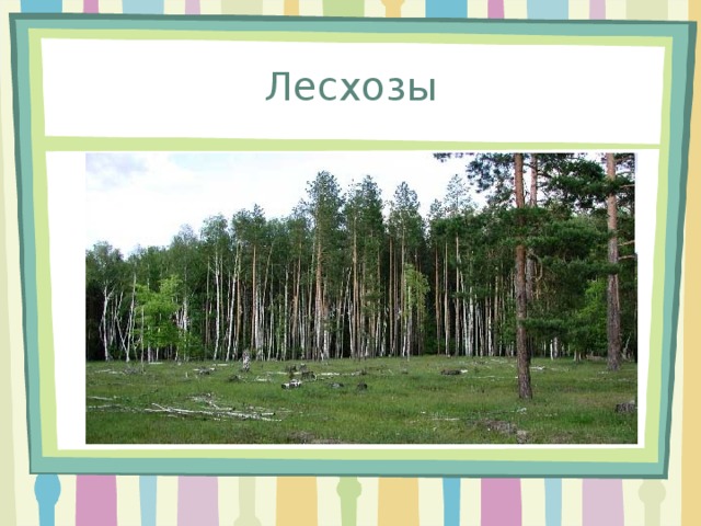 Чем занимаются лесничества 6 класс. Смотреть фото Чем занимаются лесничества 6 класс. Смотреть картинку Чем занимаются лесничества 6 класс. Картинка про Чем занимаются лесничества 6 класс. Фото Чем занимаются лесничества 6 класс