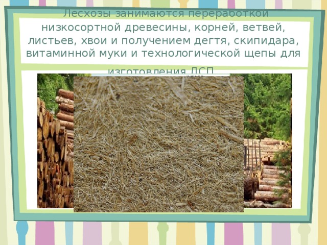 Чем занимаются лесничества 6 класс. Смотреть фото Чем занимаются лесничества 6 класс. Смотреть картинку Чем занимаются лесничества 6 класс. Картинка про Чем занимаются лесничества 6 класс. Фото Чем занимаются лесничества 6 класс
