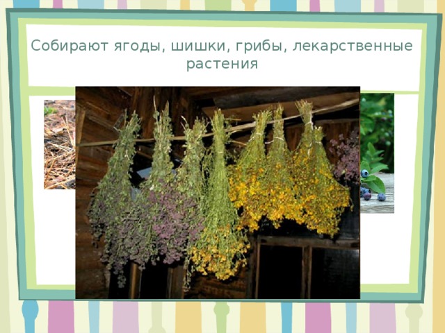 Чем занимаются лесничества 6 класс. Смотреть фото Чем занимаются лесничества 6 класс. Смотреть картинку Чем занимаются лесничества 6 класс. Картинка про Чем занимаются лесничества 6 класс. Фото Чем занимаются лесничества 6 класс