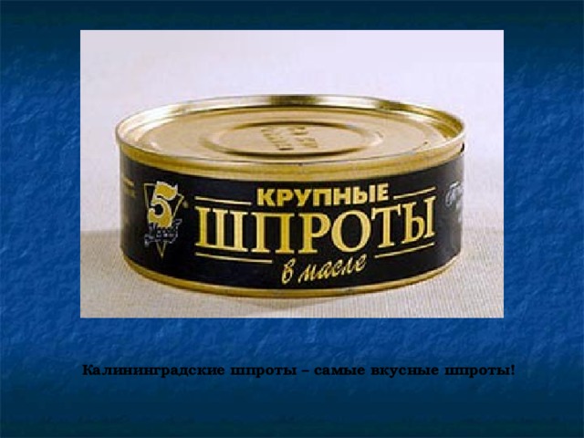 Презентация по географии «Калининградская область»