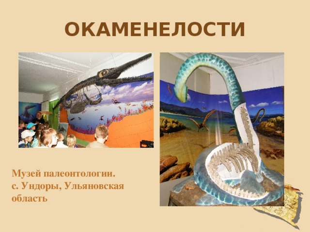 окаменелости Музей палеонтологии. с. Ундоры, Ульяновская область 