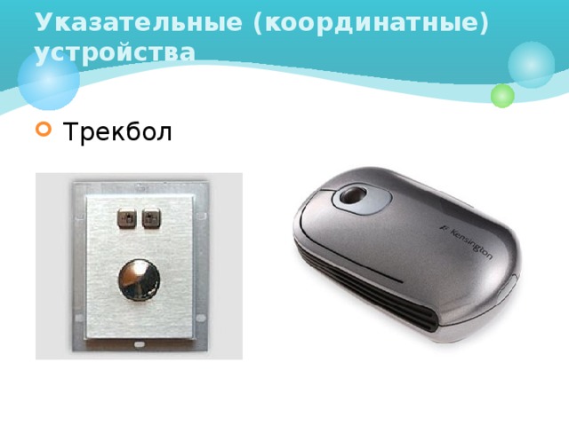 Указательные (координатные) устройства  Трекбол  