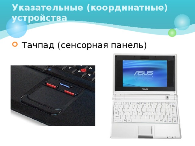 Указательные (координатные) устройства  Тачпад (сенсорная панель)  