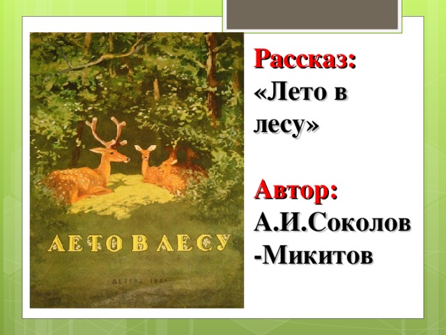 Рассказ: «Лето в лесу» Автор: А.И.Соколов-Микитов 