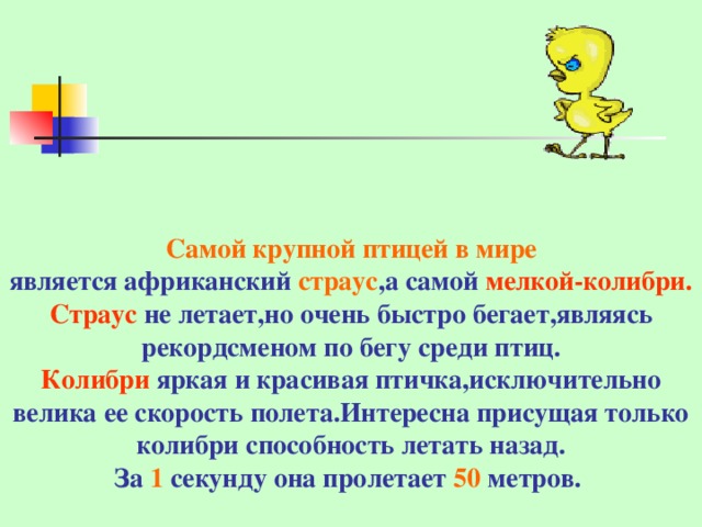 Самой крупной птицей в мире  является африканский страус , а самой мелкой-колибри.  Страус не летает,но очень быстро бегает,являясь рекордсменом по бегу среди птиц.  Колибри яркая и красивая птичка,исключительно велика ее скорость полета.Интересна присущая только колибри способность летать назад.  За 1 секунду она пролетает 50 метров. 