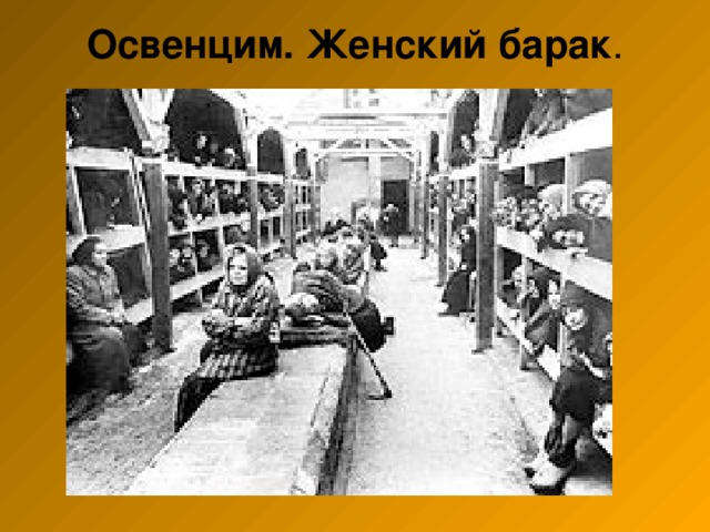 Освенцим. Женский барак .   