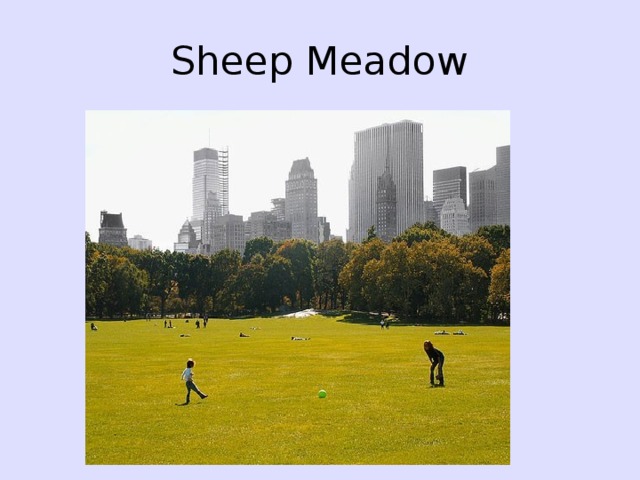 Sheep Meadow 