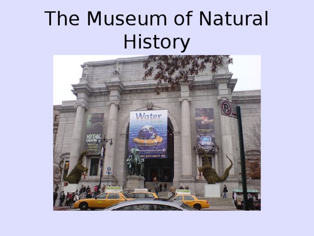 The Museum of Natural History 