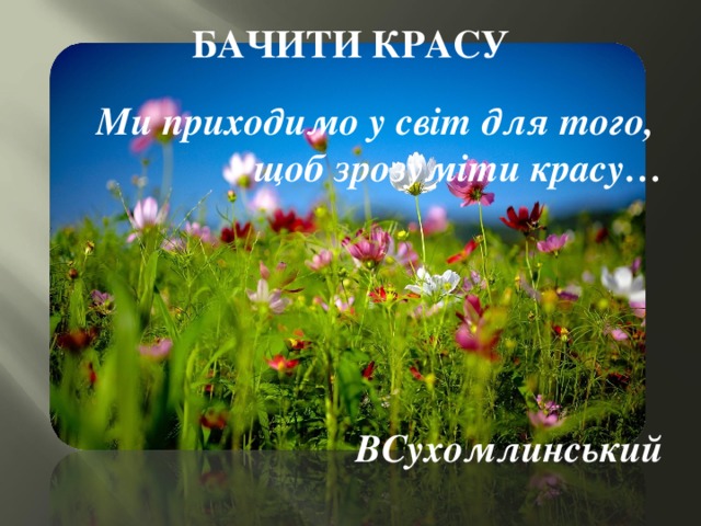 БАЧИТИ КРАСУ Ми приходимо у світ для того, щоб зрозуміти красу…           ВСухомлинський 