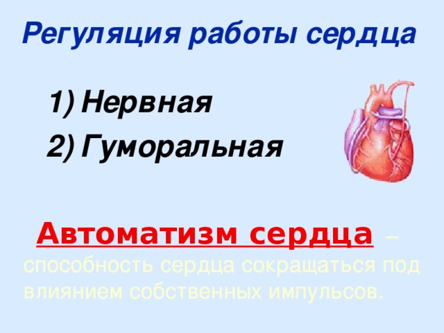 Регуляция работы сердца  Нервная  Гуморальная Автоматизм сердца – способность сердца сокращаться под влиянием собственных импульсов. 