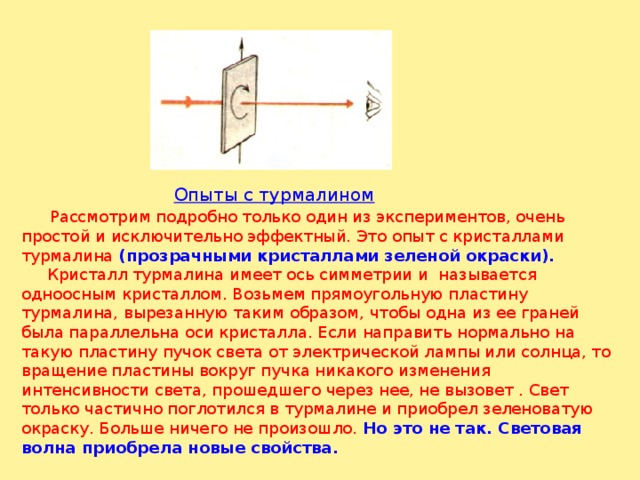 Поперечность световых волн поляризация света презентация 11 класс