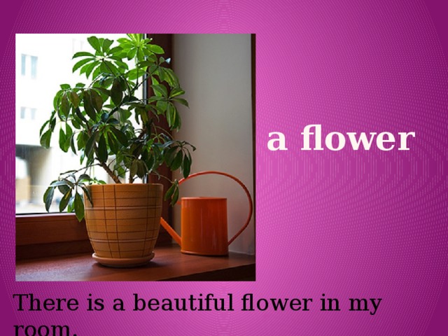 Are there any flowers