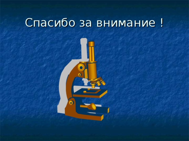 Спасибо за внимание ! 
