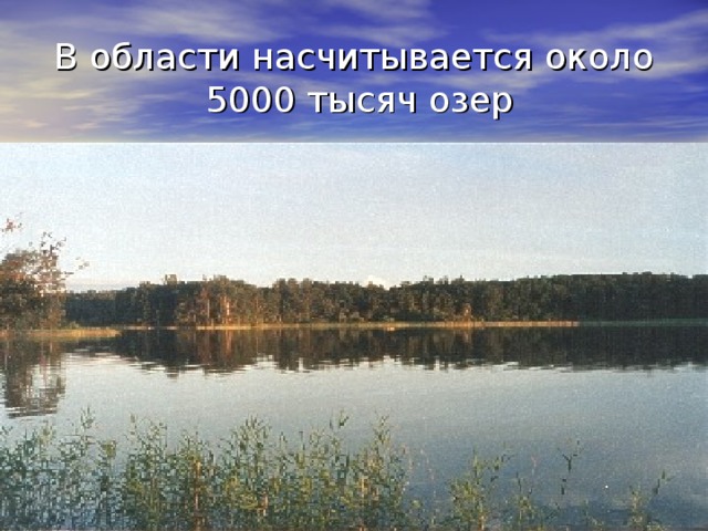 В области насчитывается около  5000 тысяч озер 