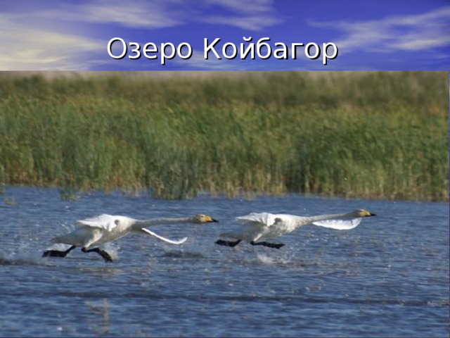 Озеро Койбагор 