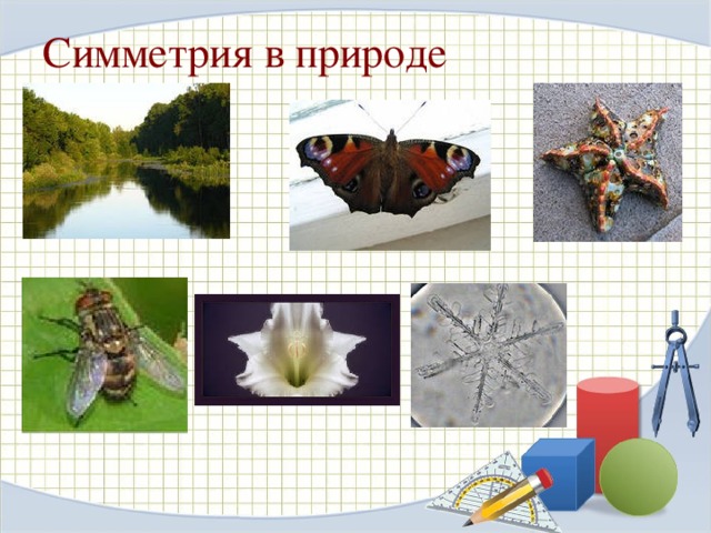 Симметрия в архитектуре 