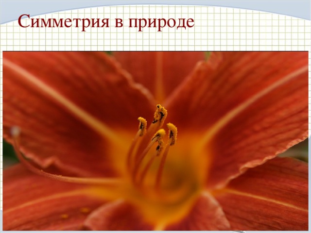 Симметрия в физике  Наверное, неслучайно безжизненный замок Снежной королевы из известной сказки Андерсона часто изображают как высшей степени симметричное сооружение. Каждая снежинка – это маленький кристалл замерзшей воды. Форма снежинок может быть очень разнообразной, но все они обладают симметрией, поворотной симметрией 6-го порядка и зеркальной симметрией. 