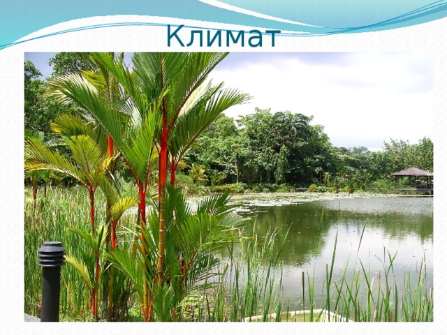 Климат 