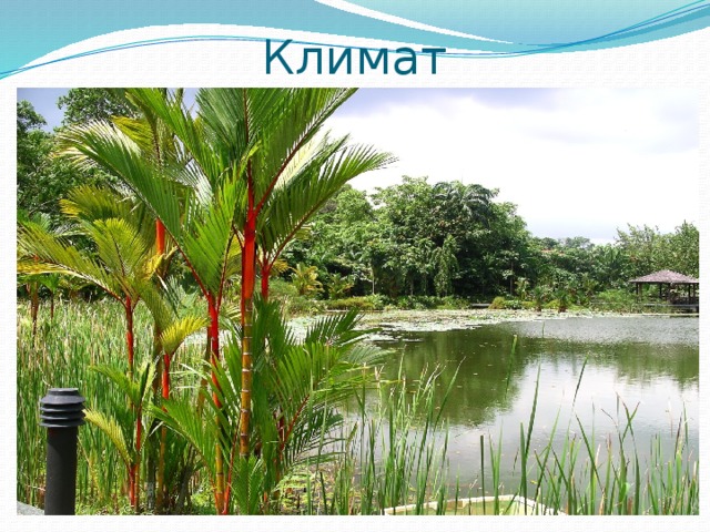 Климат 