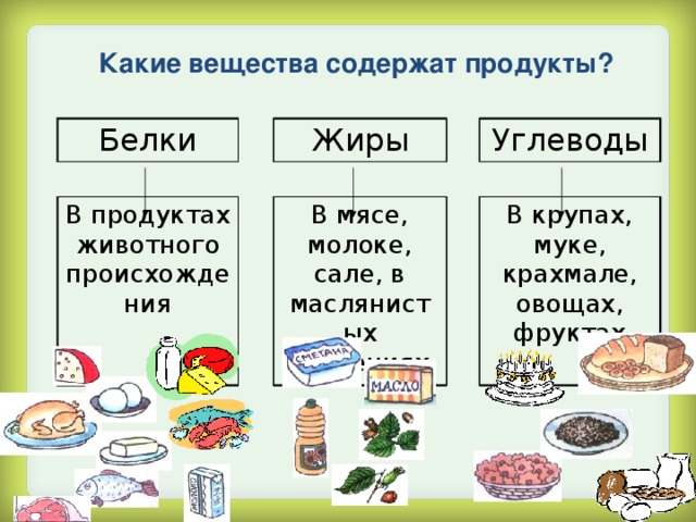 Какие вещества содержат продукты? Белки В продуктах животного происхождения Жиры Углеводы В мясе, молоке, сале, в маслянистых растениях В крупах, муке, крахмале, овощах, фруктах 