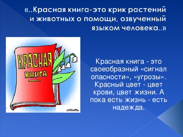 Красная книга иркутской области животные презентация