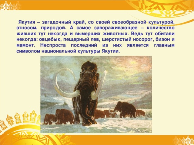 Якутия – загадочный край, со своей своеобразной культурой, этносом, природой. А самое завораживающее – количество живших тут некогда и вымерших животных. Ведь тут обитали некогда: овцебык, пещерный лев, шерстистый носорог, бизон и мамонт. Неспроста последний из них является главным символом национальной культуры Якутии. 