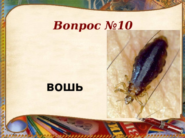 Вопрос №10 вошь 