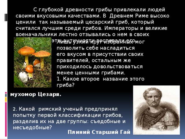  С глубокой древности грибы привлекали людей своими вкусовыми качествами. В Древнем Риме высоко ценили так называемый цесарский гриб, который считался лучшим среди грибов. Императоры и великие военачальники лестно отзывались о нем в своих записях, а поэты античности воспевали его. Лишь узкий круг избранных мог позволить себе насладиться его вкусом в присутствии своих правителей, остальным же приходилось довольствоваться менее ценными грибами. 1. Какое второе название этого гриба? мухомор Цезаря. 2. Какой римский ученый предпринял попытку первой классификации грибов, разделив их на две группы: съедобные и несъедобные? Плиний Старший Гай 