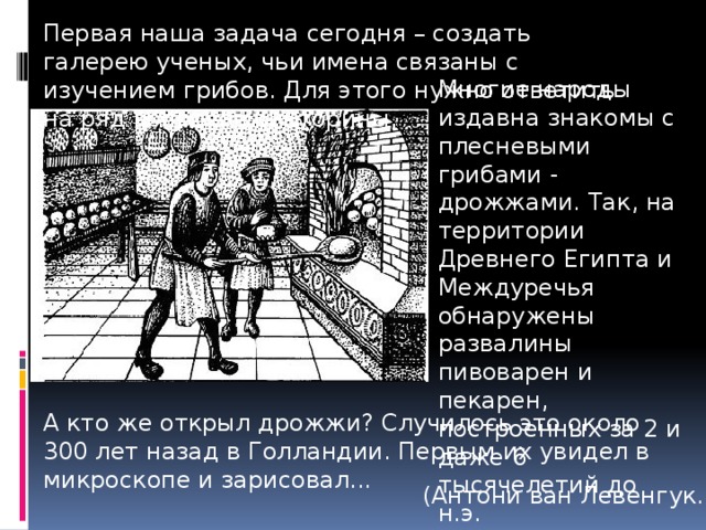 Первая наша задача сегодня – создать галерею ученых, чьи имена связаны с изучением грибов. Для этого нужно ответить на ряд вопросов викторины. Многие народы издавна знакомы с плесневыми грибами - дрожжами. Так, на территории Древнего Египта и Междуречья обнаружены развалины пивоварен и пекарен, построенных за 2 и даже 6 тысячелетий до н.э. А кто же открыл дрожжи? Случилось это около 300 лет назад в Голландии. Первым их увидел в микроскопе и зарисовал... (Антони ван Левенгук.) 