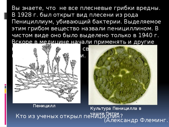 Грибы вещество