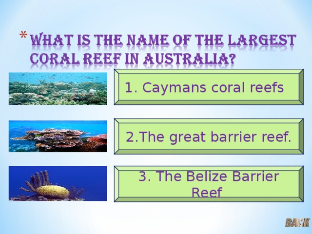 1. Caymans coral reefs 2.The great barrier reef. 3. The Belize Barrier Reef 