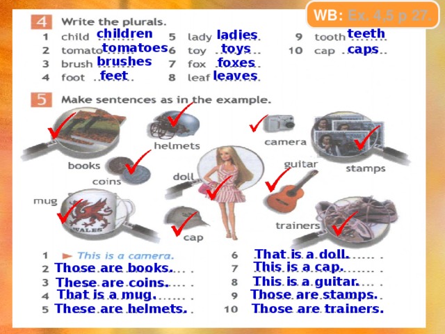 These first. Write in the plural. Write the plurals. Write the plural перевести на русский. Write in the plural 5 класс.