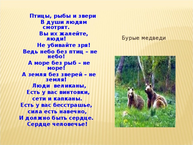Песни о животных для презентации
