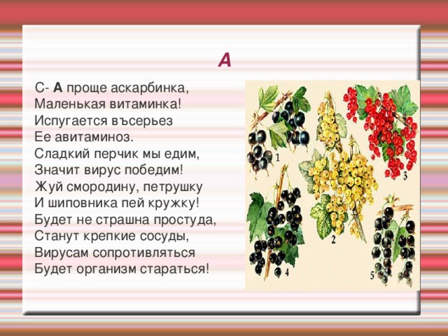 А  С- А проще аскарбинка,  Маленькая витаминка!  Испугается въсерьез  Ее авитаминоз.  Сладкий перчик мы едим,  Значит вирус победим!  Жуй смородину, петрушку  И шиповника пей кружку!  Будет не страшна простуда,  Станут крепкие сосуды,  Вирусам сопротивляться  Будет организм стараться! 