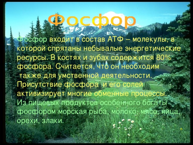 Фосфор входит